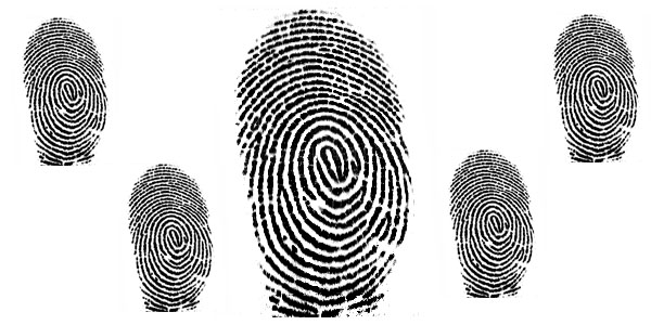 Authentec Biometrics