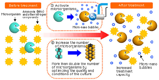 Nitrogen Removal System Using Micro-Nano-Bubble Technology