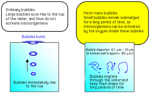A Comparison of Ordinary Bubbles and Micro-Nano Bubbles 