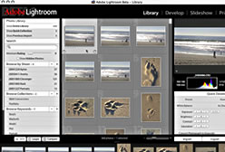 George Jardine Lightroom Beta Overview