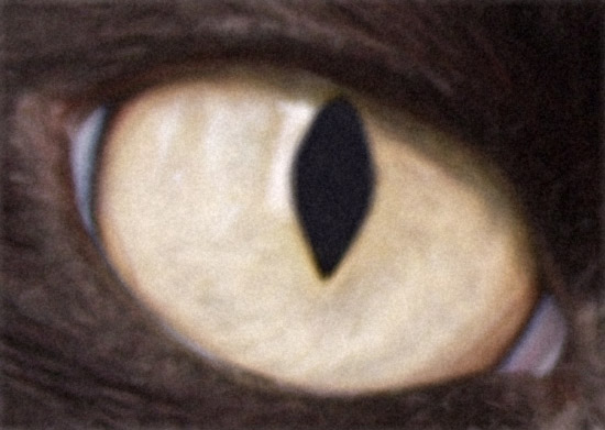 Cat's Eye - BlowUp Upsampling