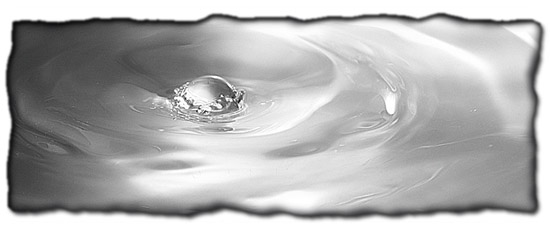 Photo/Graphic Edges 6.0 - Water Drop with Burned Edges and Photoshop's Drop Shadow