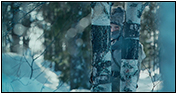 Hanna (Blu-ray)