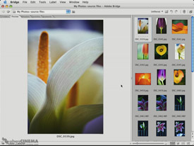 Best Of Photoshop CS2 by Jack Davis - Session 01 Photshop CS2 Interface