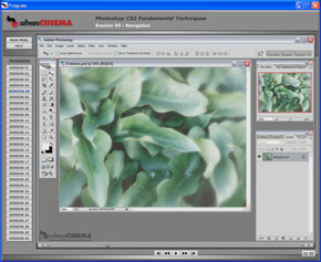 Adobe Photoshop CS2: Fundamental Techniques by Julieanne Kost - Session 05